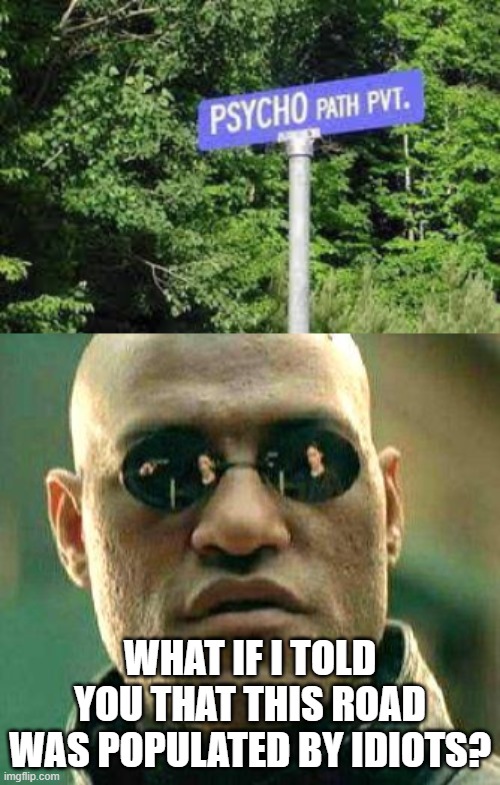 XD | WHAT IF I TOLD YOU THAT THIS ROAD WAS POPULATED BY IDIOTS? | image tagged in what if i told you,memes,funny,stupid signs,psycho | made w/ Imgflip meme maker