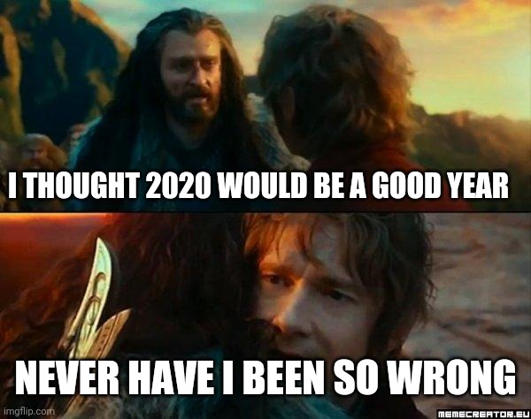 Never Have I Been So Wrong | I THOUGHT 2020 WOULD BE A GOOD YEAR; NEVER HAVE I BEEN SO WRONG | image tagged in never have i been so wrong | made w/ Imgflip meme maker