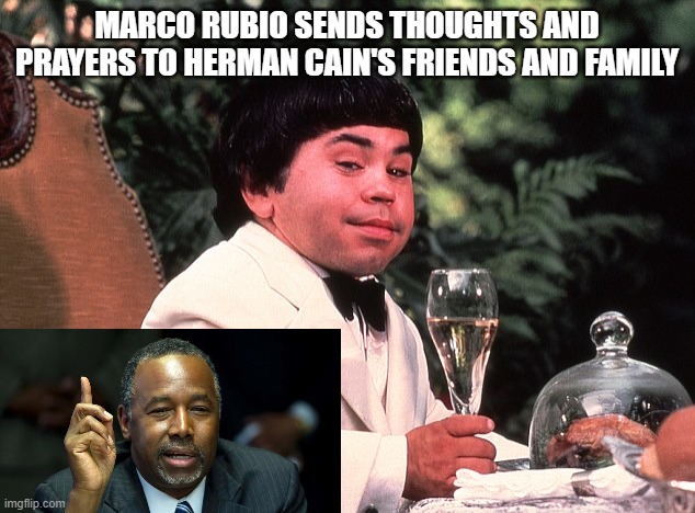 herve | MARCO RUBIO SENDS THOUGHTS AND PRAYERS TO HERMAN CAIN'S FRIENDS AND FAMILY | image tagged in herve | made w/ Imgflip meme maker