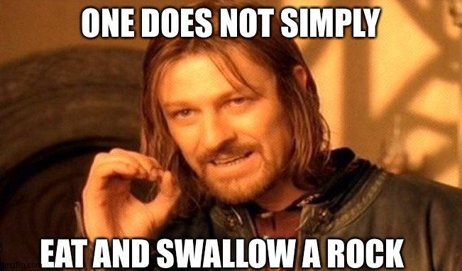 One Does Not Simply | ONE DOES NOT SIMPLY; EAT AND SWALLOW A ROCK | image tagged in memes,one does not simply | made w/ Imgflip meme maker