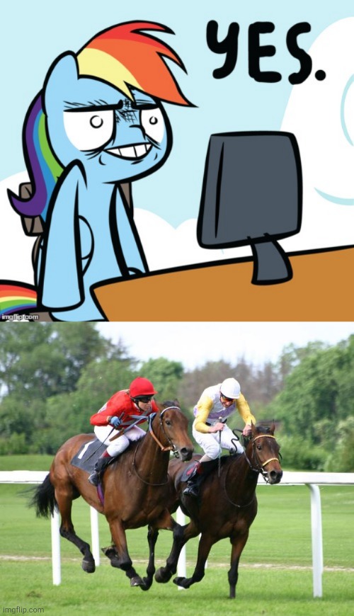 image tagged in two horses racing,rainbow dash yes | made w/ Imgflip meme maker