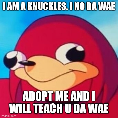 yEEEEEEEEEEE | I AM A KNUCKLES. I NO DA WAE; ADOPT ME AND I WILL TEACH U DA WAE | image tagged in ugandan knuckles | made w/ Imgflip meme maker
