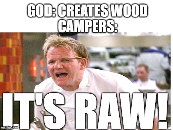Gordon Camperamsay | GOD: CREATES WOOD
CAMPERS:; IT'S RAW! | image tagged in chef gordon ramsay,firewood,campers | made w/ Imgflip meme maker