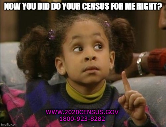 raven symone | NOW YOU DID DO YOUR CENSUS FOR ME RIGHT? WWW.2020CENSUS.GOV
1800-923-8282 | image tagged in raven symone | made w/ Imgflip meme maker