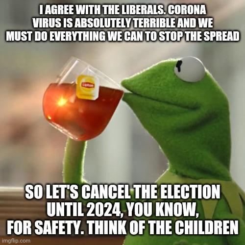 But That's None Of My Business Meme | I AGREE WITH THE LIBERALS. CORONA VIRUS IS ABSOLUTELY TERRIBLE AND WE MUST DO EVERYTHING WE CAN TO STOP THE SPREAD; SO LET'S CANCEL THE ELECTION UNTIL 2024, YOU KNOW, FOR SAFETY. THINK OF THE CHILDREN | image tagged in memes,but that's none of my business,kermit the frog | made w/ Imgflip meme maker