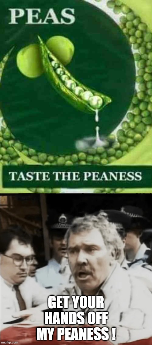 Peaness | GET YOUR HANDS OFF MY PEANESS ! | image tagged in funny memes | made w/ Imgflip meme maker