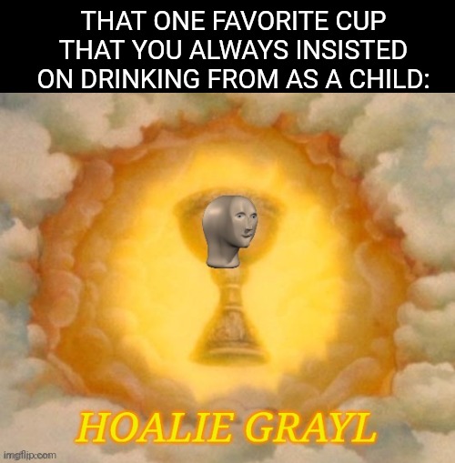 Meme man hoalie grayl | THAT ONE FAVORITE CUP THAT YOU ALWAYS INSISTED ON DRINKING FROM AS A CHILD: | image tagged in meme man hoalie grayl | made w/ Imgflip meme maker