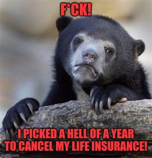 Confession Bear Meme | F*CK! I PICKED A HELL OF A YEAR TO CANCEL MY LIFE INSURANCE! | image tagged in memes,confession bear | made w/ Imgflip meme maker