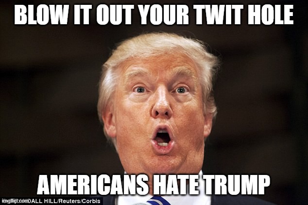 We are Totally Sick of Trump's Lying Bullshit  Trump = DEATH | BLOW IT OUT YOUR TWIT HOLE; AMERICANS HATE TRUMP | image tagged in america or trump,trump equals death,2020,trump is an asshole,biden 2020,pandemic | made w/ Imgflip meme maker
