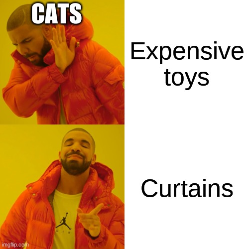 Cats Be like... | CATS; Expensive toys; Curtains | image tagged in memes,drake hotline bling,cats | made w/ Imgflip meme maker