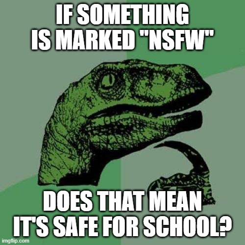 Since We're At School.... | IF SOMETHING IS MARKED "NSFW"; DOES THAT MEAN IT'S SAFE FOR SCHOOL? | image tagged in memes,philosoraptor,school,funny memes | made w/ Imgflip meme maker