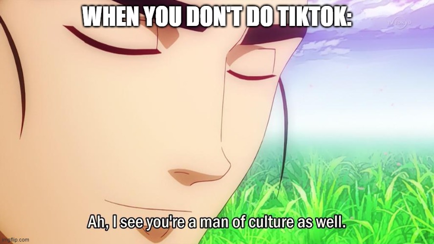 Ah i see | WHEN YOU DON'T DO TIKTOK: | image tagged in ah i see | made w/ Imgflip meme maker