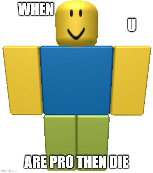 pro noob roblox