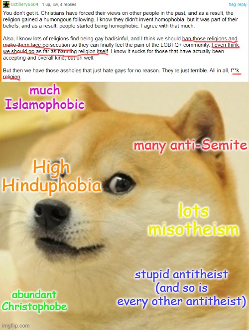 The One Who Accuses Us of Intolerance Is Intolerant. | much Islamophobic; many anti-Semite; High Hinduphobia; lots misotheism; stupid antitheist (and so is every other antitheist); abundant Christophobe | image tagged in memes,doge,intolerance | made w/ Imgflip meme maker
