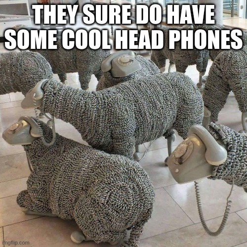wool wouldn`t want one? of course everyone woold want one | THEY SURE DO HAVE SOME COOL HEAD PHONES | image tagged in memes,funny memes | made w/ Imgflip meme maker