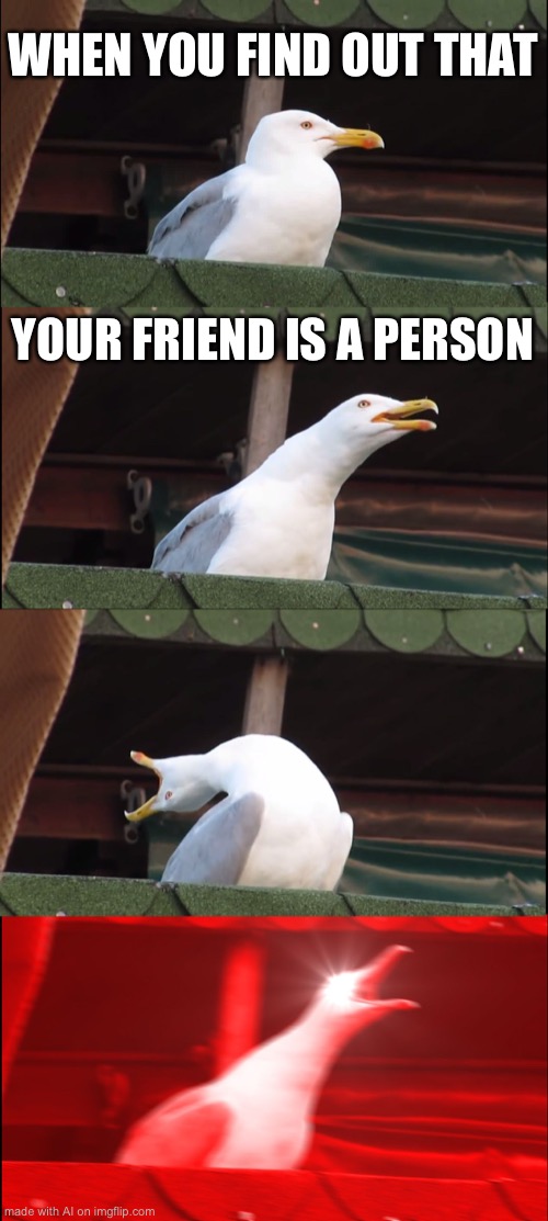 Inhaling Seagull Meme | WHEN YOU FIND OUT THAT; YOUR FRIEND IS A PERSON | image tagged in memes,inhaling seagull | made w/ Imgflip meme maker