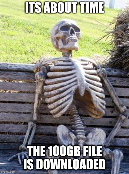 big downloads take a long time | ITS ABOUT TIME; THE 100GB FILE IS DOWNLOADED | image tagged in memes,waiting skeleton | made w/ Imgflip meme maker
