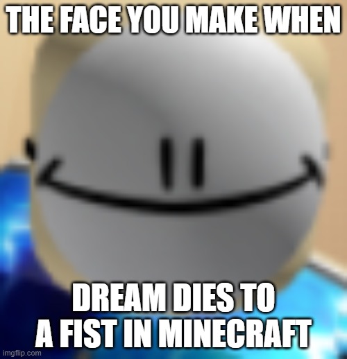 Only true gamers will understand this meme | THE FACE YOU MAKE WHEN; DREAM DIES TO A FIST IN MINECRAFT | image tagged in the face you make when meme | made w/ Imgflip meme maker