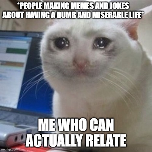Crying cat | *PEOPLE MAKING MEMES AND JOKES ABOUT HAVING A DUMB AND MISERABLE LIFE*; ME WHO CAN ACTUALLY RELATE | image tagged in crying cat | made w/ Imgflip meme maker