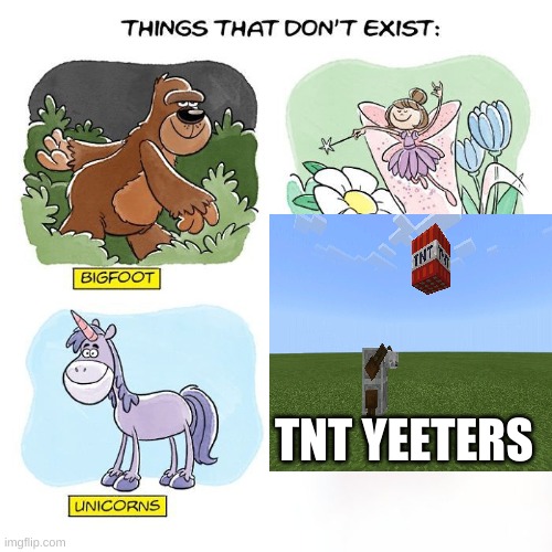 Things That Don't Exist | TNT YEETERS | image tagged in things that don't exist | made w/ Imgflip meme maker