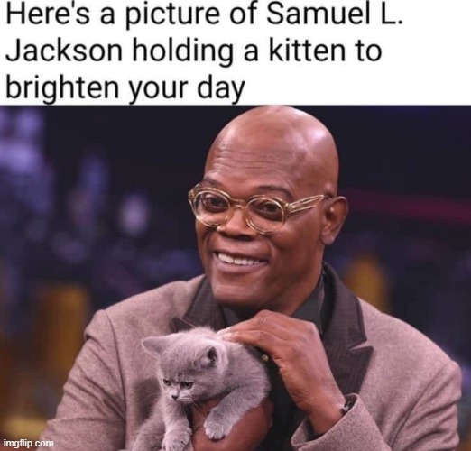 upvote this or he might use strong language (repost) | image tagged in samuel l jackson,samuel jackson,kitten,cats,adorable,repost | made w/ Imgflip meme maker