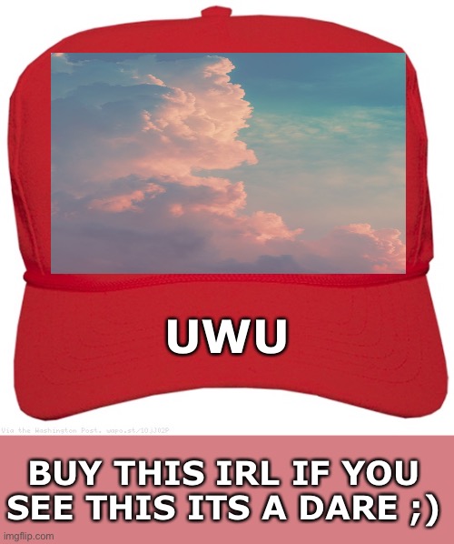 blank red MAGA hat |  UWU; BUY THIS IRL IF YOU SEE THIS ITS A DARE ;) | image tagged in blank red maga hat | made w/ Imgflip meme maker