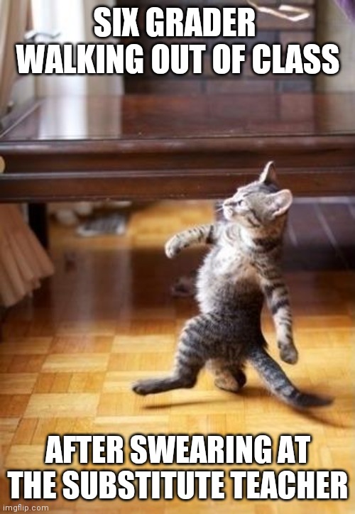 Cool Cat Stroll Meme | SIX GRADER  WALKING OUT OF CLASS AFTER SWEARING AT THE SUBSTITUTE TEACHER | image tagged in memes,cool cat stroll | made w/ Imgflip meme maker