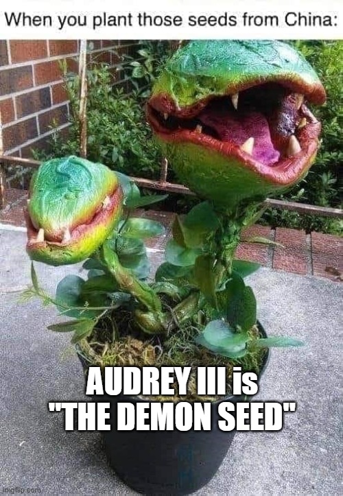 AUDREY III | AUDREY III is "THE DEMON SEED" | image tagged in audrey iii,demon seeds,alien dna | made w/ Imgflip meme maker
