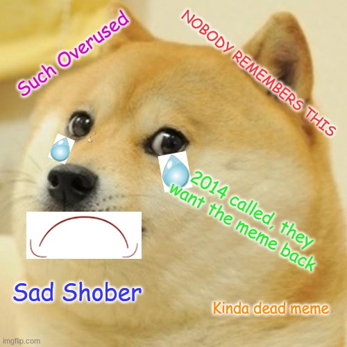 :( | Such Overused; NOBODY REMEMBERS THIS; 2014 called, they want the meme back; Sad Shober; Kinda dead meme | image tagged in memes,doge | made w/ Imgflip meme maker
