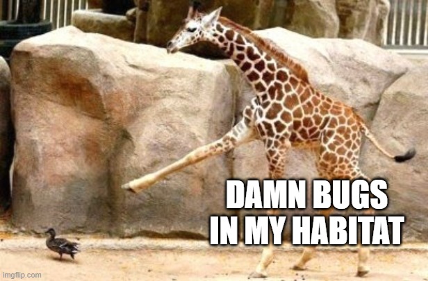Dead Duck? | DAMN BUGS IN MY HABITAT | image tagged in funny duck | made w/ Imgflip meme maker