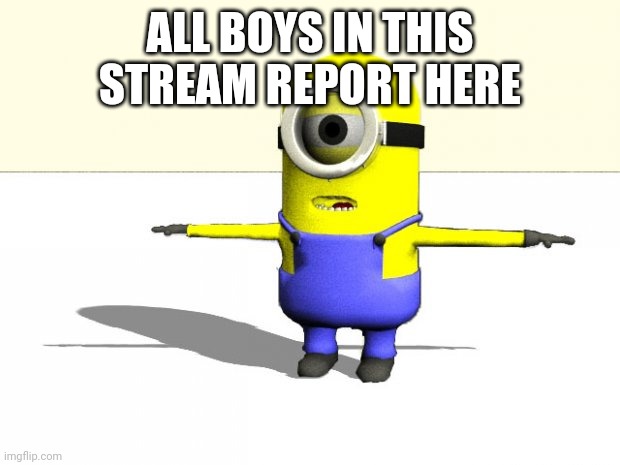 minion t pose | ALL BOYS IN THIS STREAM REPORT HERE | image tagged in minion t pose | made w/ Imgflip meme maker