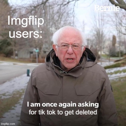 ples ban tik tok | Imgflip users:; for tik tok to get deleted | image tagged in memes,demotivationals,gifs,pie charts,donut charts,bar charts | made w/ Imgflip meme maker