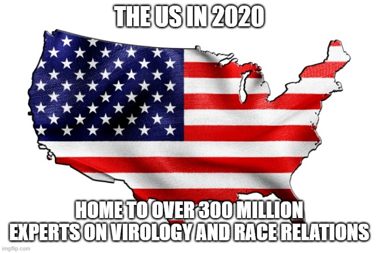 United States of America | THE US IN 2020; HOME TO OVER 300 MILLION EXPERTS ON VIROLOGY AND RACE RELATIONS | image tagged in united states of america | made w/ Imgflip meme maker