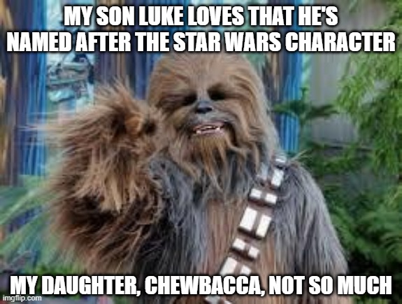 What's in a Name? | MY SON LUKE LOVES THAT HE'S NAMED AFTER THE STAR WARS CHARACTER; MY DAUGHTER, CHEWBACCA, NOT SO MUCH | image tagged in chewbacca laughing | made w/ Imgflip meme maker