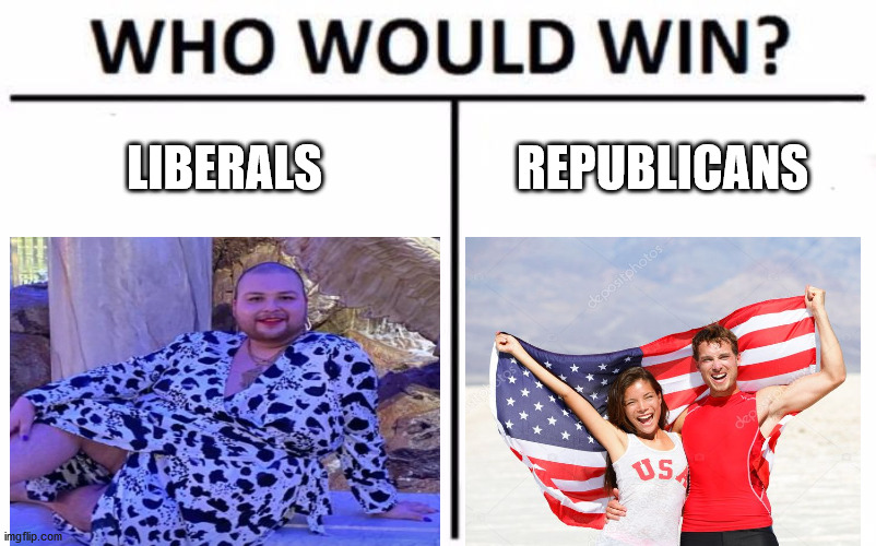 I Know Where I Am Putting My Money This November.. | LIBERALS REPUBLICANS | image tagged in memes,who would win | made w/ Imgflip meme maker