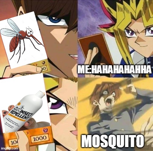 Yugioh card draw | ME:HAHAHAHAHHA; MOSQUITO | image tagged in yugioh card draw | made w/ Imgflip meme maker