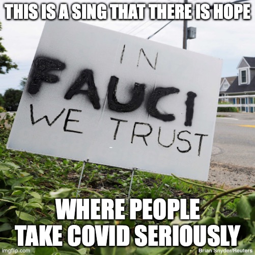 Pro-Fauci Sign | THIS IS A SING THAT THERE IS HOPE; WHERE PEOPLE TAKE COVID SERIOUSLY | image tagged in fauci,memes,covid-19 | made w/ Imgflip meme maker