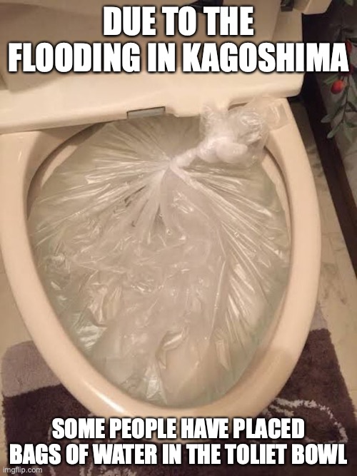 Kagoshima Floods | DUE TO THE FLOODING IN KAGOSHIMA; SOME PEOPLE HAVE PLACED BAGS OF WATER IN THE TOLIET BOWL | image tagged in flood,memes | made w/ Imgflip meme maker