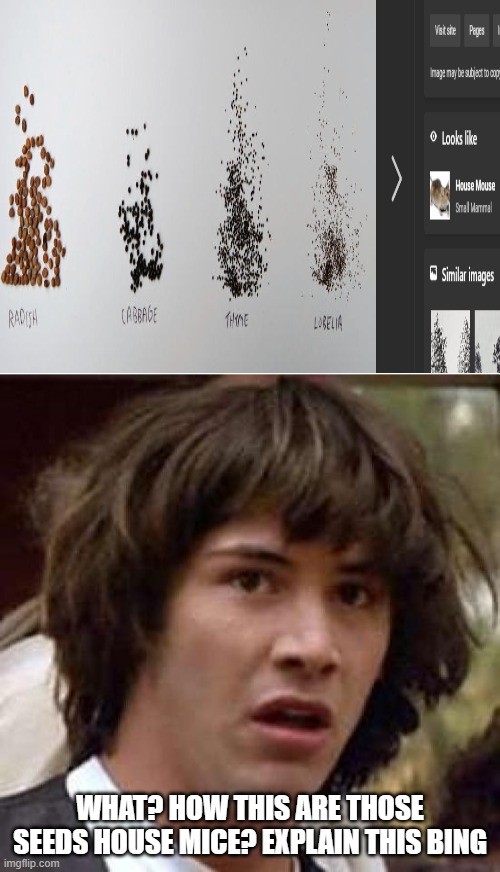 WHAT? HOW THIS ARE THOSE SEEDS HOUSE MICE? EXPLAIN THIS BING | image tagged in memes,conspiracy keanu,blank white template | made w/ Imgflip meme maker