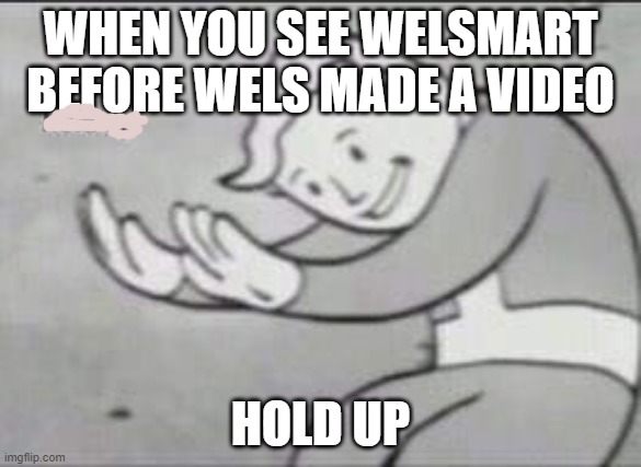 Fallout Hold Up | WHEN YOU SEE WELSMART BEFORE WELS MADE A VIDEO; HOLD UP | image tagged in fallout hold up | made w/ Imgflip meme maker