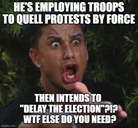 Dictator Tactics 101 WTF | HE'S EMPLOYING TROOPS TO QUELL PROTESTS BY FORCE; THEN INTENDS TO 
"DELAY THE ELECTION"?!?
 WTF ELSE DO YOU NEED? | image tagged in memes,dj pauly d | made w/ Imgflip meme maker