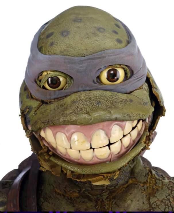 Decayed Ninja Turtle Costume Blank Meme Template