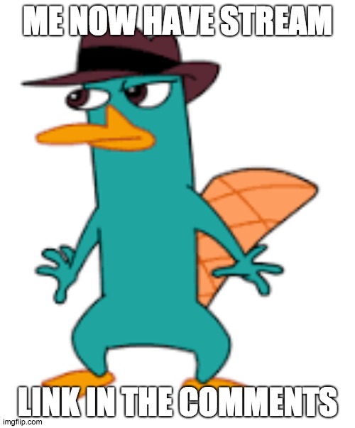 ME NOW HAVE STREAM; LINK IN THE COMMENTS | image tagged in perry | made w/ Imgflip meme maker