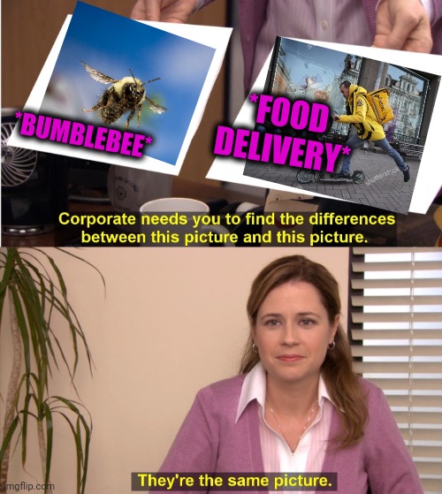 -Getting food through courier service. | *FOOD DELIVERY*; *BUMBLEBEE* | image tagged in memes,they're the same picture,scumbag job market,pizza delivery man,salary,young man smile then shock | made w/ Imgflip meme maker