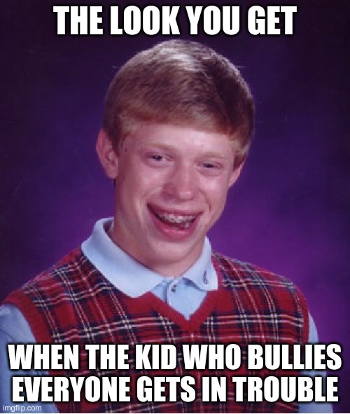 Bad Luck Brian Meme | THE LOOK YOU GET; WHEN THE KID WHO BULLIES EVERYONE GETS IN TROUBLE | image tagged in memes,bad luck brian | made w/ Imgflip meme maker