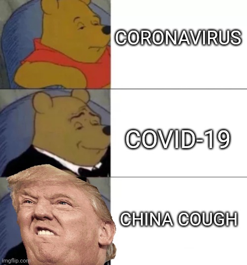 Yeet | CORONAVIRUS; COVID-19; CHINA COUGH | image tagged in fancy pooh | made w/ Imgflip meme maker