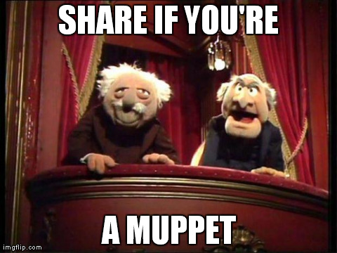 SHARE IF YOU'RE A MUPPET | image tagged in muppets | made w/ Imgflip meme maker