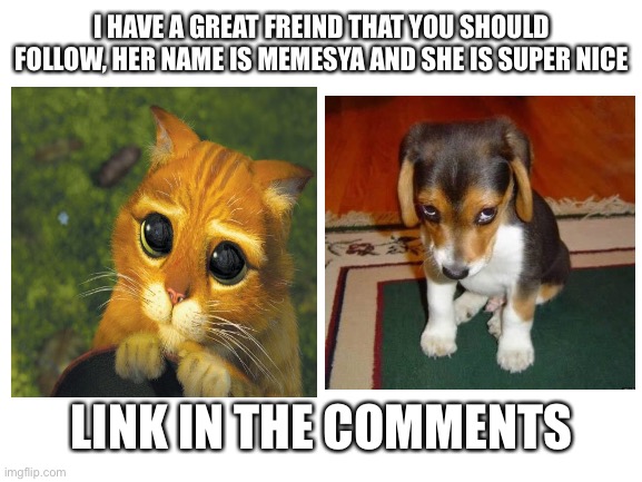 Blank White Template | I HAVE A GREAT FREIND THAT YOU SHOULD FOLLOW, HER NAME IS MEMESYA AND SHE IS SUPER NICE; LINK IN THE COMMENTS | image tagged in blank white template | made w/ Imgflip meme maker