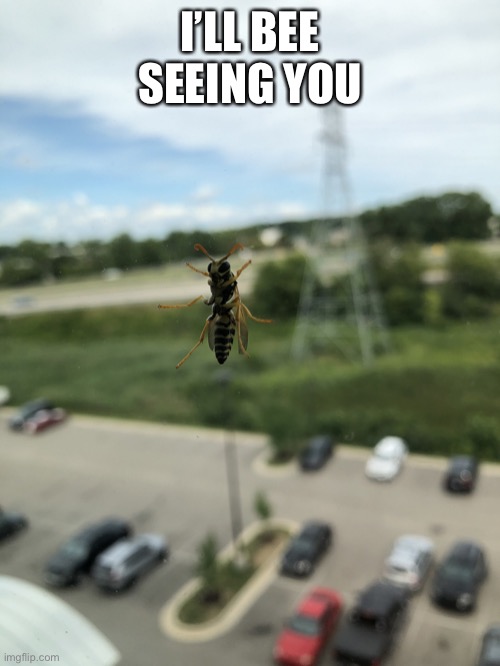 Bee Seeing You | I’LL BEE SEEING YOU | image tagged in bee seeing you | made w/ Imgflip meme maker