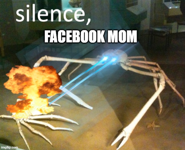 silence, facebook mom | FACEBOOK MOM | image tagged in silence crab | made w/ Imgflip meme maker